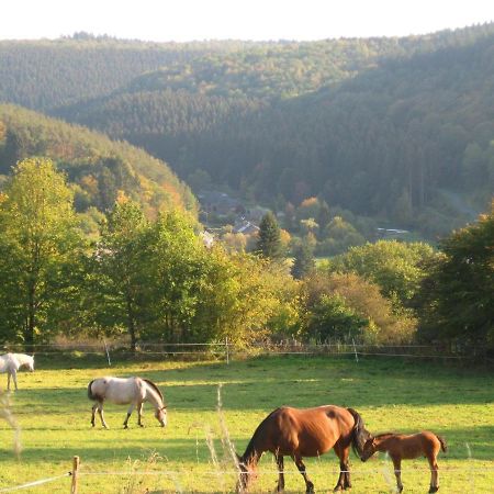 Pretty Cottage Ardennes Near The Valley Of Lesse Вансимон Экстерьер фото
