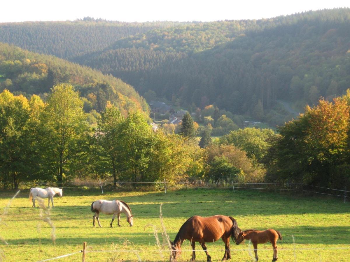 Pretty Cottage Ardennes Near The Valley Of Lesse Вансимон Экстерьер фото