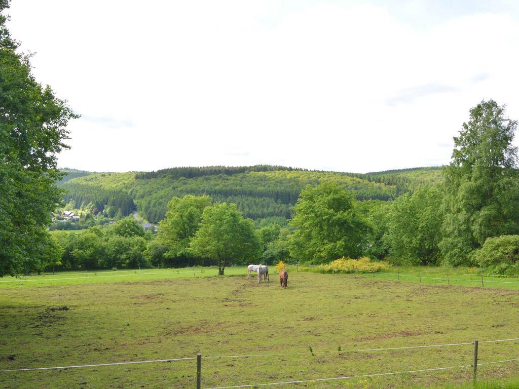 Pretty Cottage Ardennes Near The Valley Of Lesse Вансимон Экстерьер фото